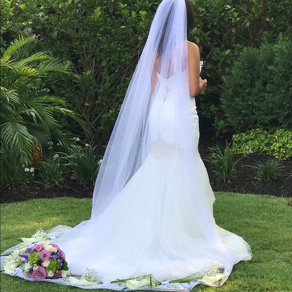 David's Bridal Accessories - Cathedral Veil